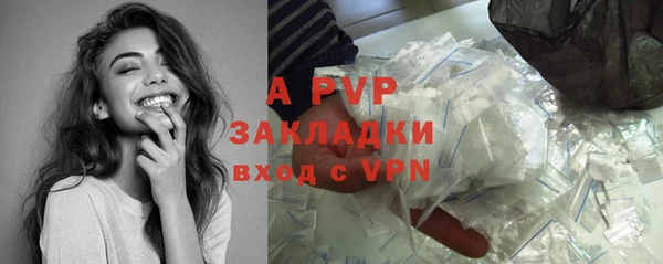 кокс Белокуриха
