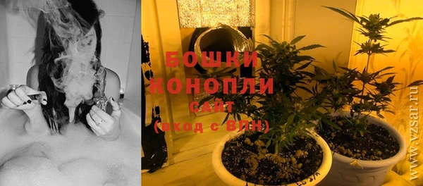 кокс Белокуриха